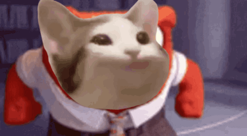 A Cat Wearing A Red Shirt And Tie Is Standing In A Room GIF
