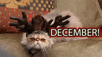 A Cat Wearing A Reindeer Costume Is Laying On A Couch Next To The Word December GIF