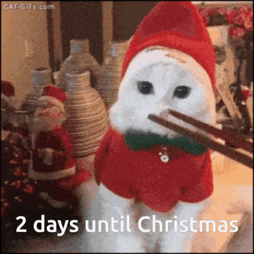 A Cat Wearing A Santa Hat And A Bow Tie Is Holding Chopsticks In Its Mouth .. GIF