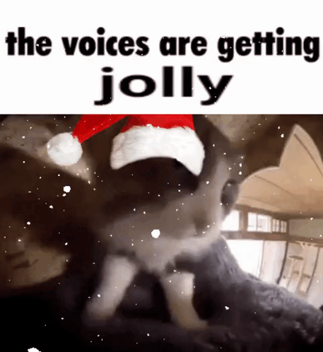 A Cat Wearing A Santa Hat Is Getting Jolly GIF