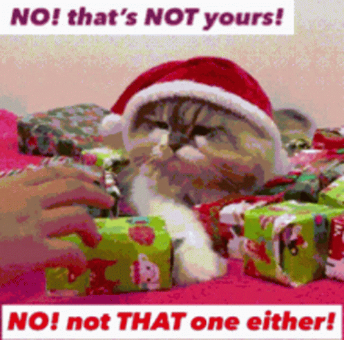 A Cat Wearing A Santa Hat Is Surrounded By Christmas Presents And Says No That 'S Not Yours GIF