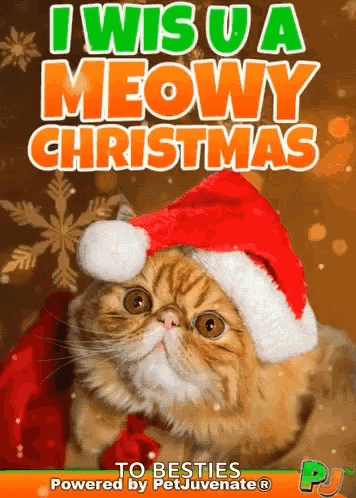 a cat wearing a santa hat with the words i wish u a meowy christmas
