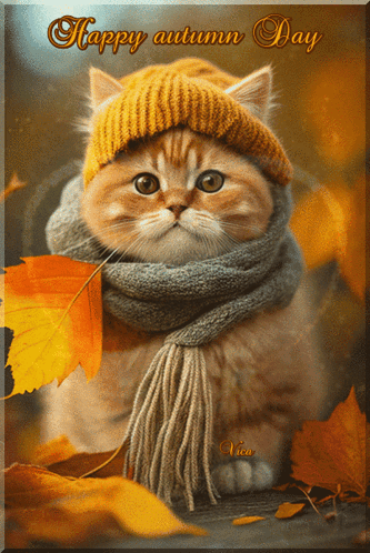 A Cat Wearing A Scarf And A Hat With The Words Happy Autumn Day Above It GIF