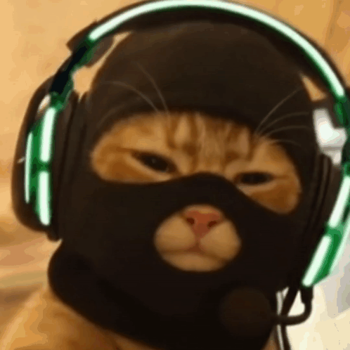A Cat Wearing A Ski Mask And Headphones Is Looking At The Camera . GIF