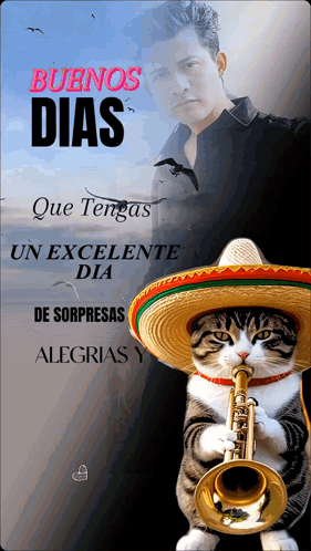 A Cat Wearing A Sombrero And Playing A Trumpet With A Man In The Background GIF