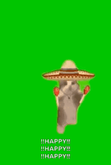 A Cat Wearing A Sombrero Is Dancing On A Green Screen . GIF