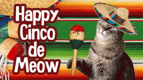 A Cat Wearing A Sombrero Is Holding A Maraca And A Sign Says Happy Cinco De Meow GIF