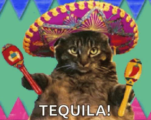 A Cat Wearing A Sombrero Is Holding A Maraca And The Word Tequila Is Above It GIF