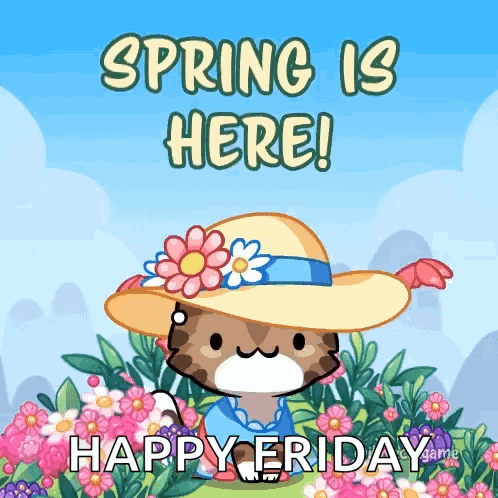 A Cat Wearing A Straw Hat With Flowers On It Says Spring Is Here GIF