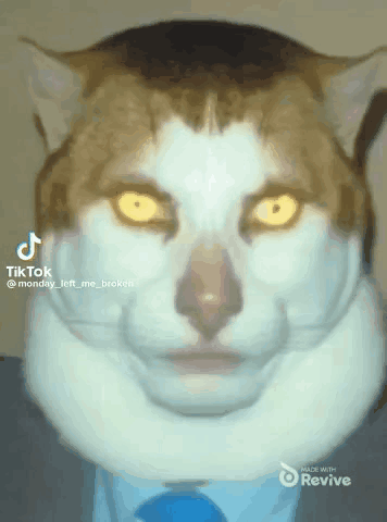 A Cat Wearing A Suit And Tie With Tiktok Written On It GIF