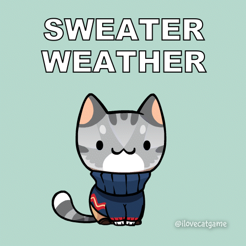 A Cat Wearing A Sweater With The Words Sweater Weather Written Above It GIF
