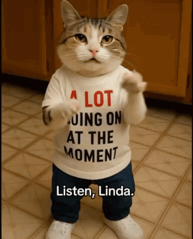 A Cat Wearing A T-Shirt That Says A Lot Going On At The Moment GIF