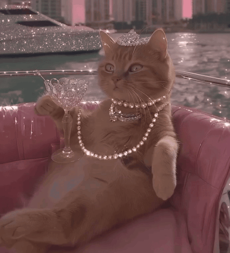 A Cat Wearing A Tiara And Pearls Sits On A Pink Chair Holding A Glass GIF