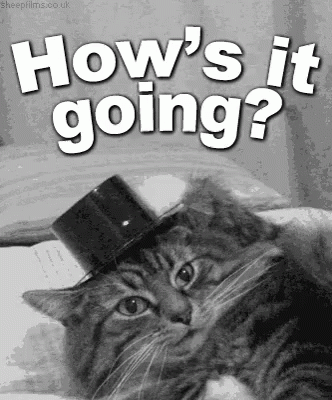 A Cat Wearing A Top Hat With The Words " How 'S It Going " Above It GIF