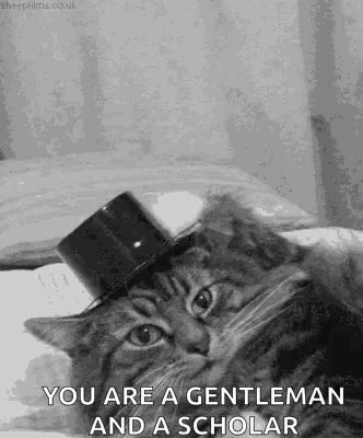 A Cat Wearing A Top Hat With The Words `` You Are A Gentleman And A Scholar '' On It . GIF