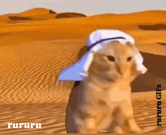 A Cat Wearing A Turban In The Desert With Rururu Written On The Bottom GIF