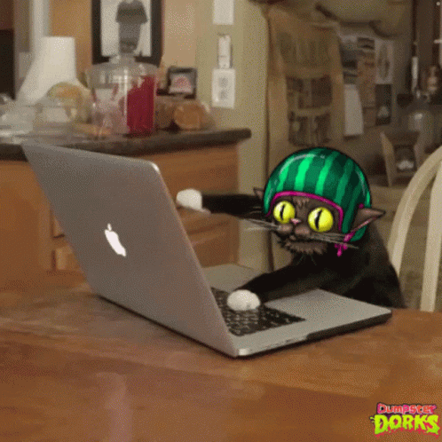 A Cat Wearing A Watermelon Helmet Is Using An Apple Laptop Computer GIF
