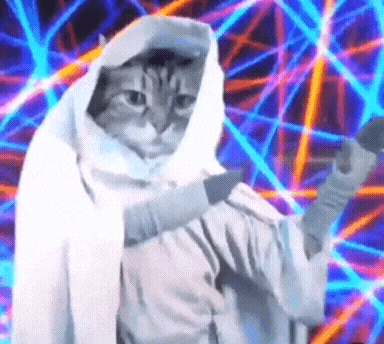 A Cat Wearing A White Robe Is Holding A Microphone GIF