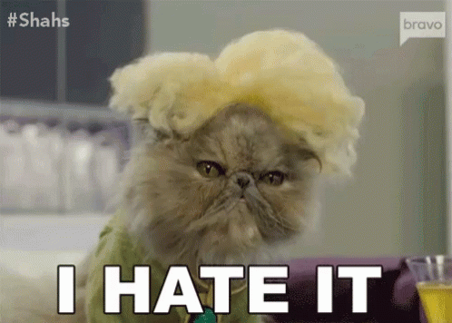 A Cat Wearing A Wig And A Green Shirt Says I Hate It GIF