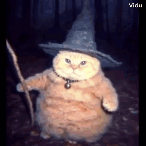 A Cat Wearing A Witch Hat And Holding A Stick . GIF