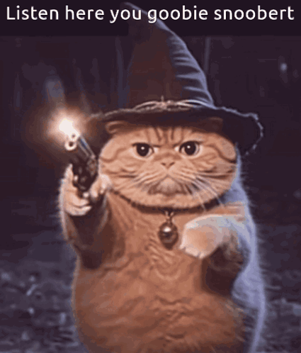 A Cat Wearing A Witch Hat Is Pointing A Gun With The Caption Listen Here You Goobie Snoobert GIF
