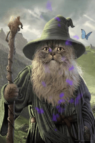 A Cat Wearing A Wizard 'S Hat And Holding A Cane GIF