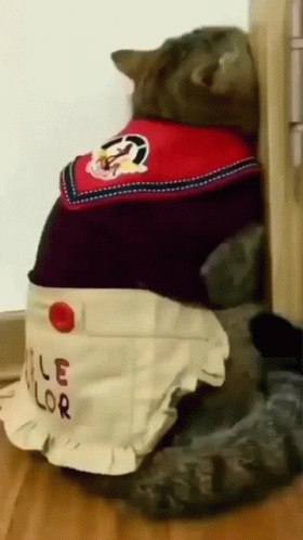 A Cat Wearing An Apron That Says " Le Lor " GIF