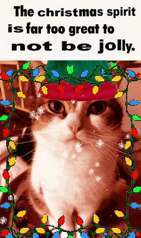 A Cat Wearing An Elf Hat With Christmas Lights In The Background GIF