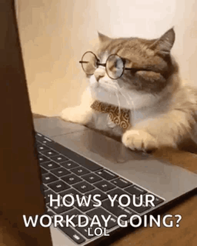 A Cat Wearing Glasses And A Bow Tie Is Laying On A Laptop Computer . GIF
