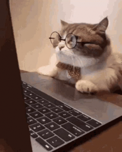 A Cat Wearing Glasses And A Bow Tie Is Laying On Top Of A Laptop Computer . GIF