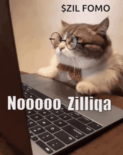 A Cat Wearing Glasses And A Bow Tie Is Sitting In Front Of A Laptop Computer GIF