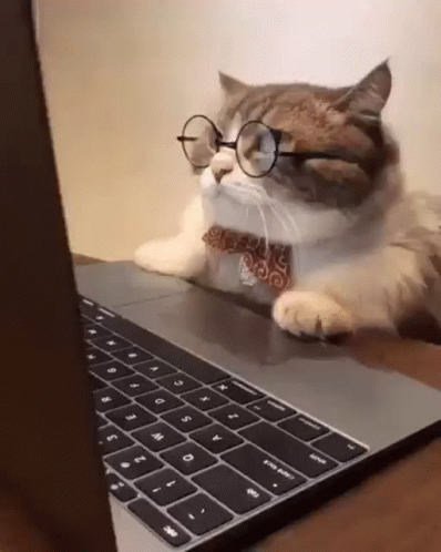 A Cat Wearing Glasses And A Bow Tie Is Sitting On A Laptop . GIF