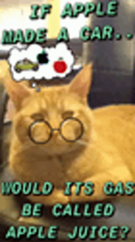 A Cat Wearing Glasses And A Hat Says If Apple Made A Car Would Its Car Be Called Apple Juice ? GIF