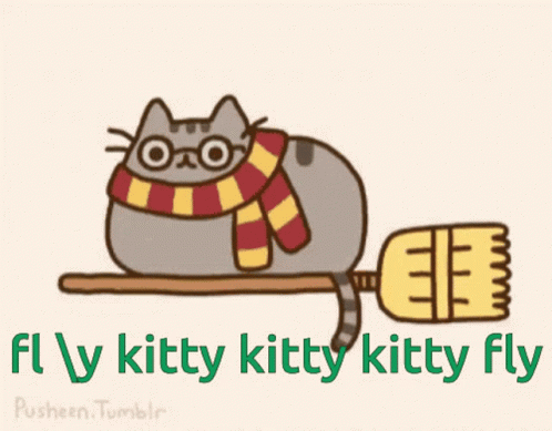 A Cat Wearing Glasses And A Scarf Is Riding A Broom With The Words Fly Kitty Kitty Kitty Fly Below It GIF