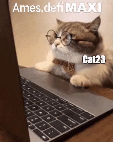 Cat With Glasses And Tie Laying In Front Of Laptop GIF
