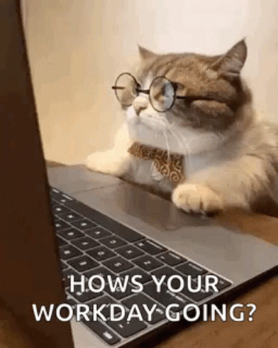 A Cat Wearing Glasses And A Tie Is Laying On A Laptop . GIF