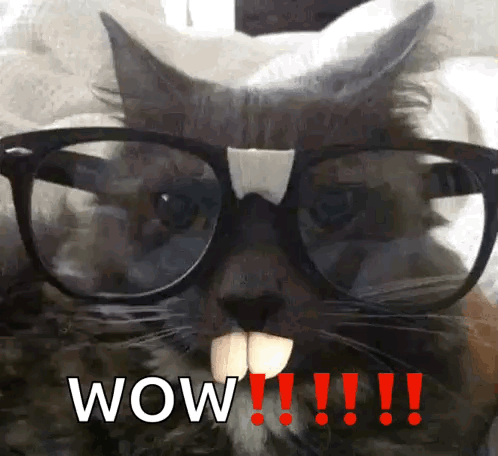 A Cat Wearing Glasses And Fake Teeth Has The Word Wow Written In Red GIF