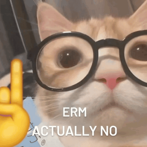 A Cat Wearing Glasses And Giving A Peace Sign With The Words Erm Actually No Below It GIF