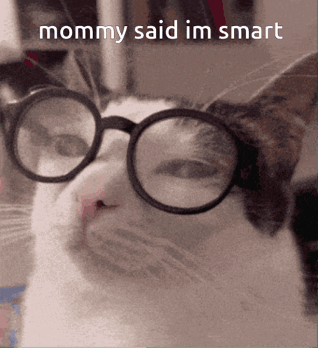 A Cat Wearing Glasses And The Words Mommy Said Im Smart GIF