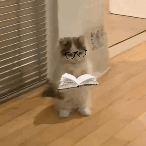 A Cat Wearing Glasses Is Holding An Open Book In Its Paws . GIF