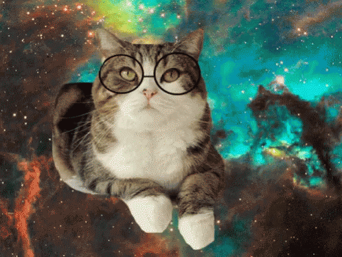 A Cat Wearing Glasses Looks At The Camera In Space GIF