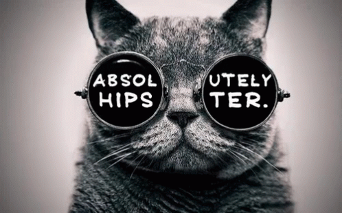 A Cat Wearing Glasses That Say Absol Hips And Utely Ter GIF