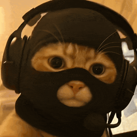 A Cat Wearing Headphones And A Black Mask On Its Face GIF
