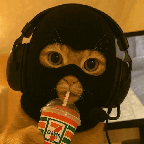 A Cat Wearing Headphones And A Ski Mask Drinking From A 7 Eleven Cup GIF
