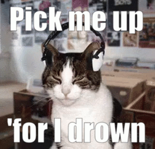 A Cat Wearing Headphones With The Words Pick Me Up For I Drown On The Bottom GIF