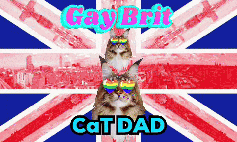 A Cat Wearing Rainbow Glasses Is Standing In Front Of A British Flag That Says Gay Brit Cat Dad GIF