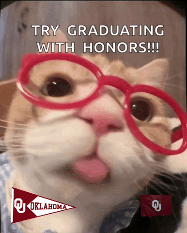 A Cat Wearing Red Glasses With The Words Try Graduating With Honors On It GIF