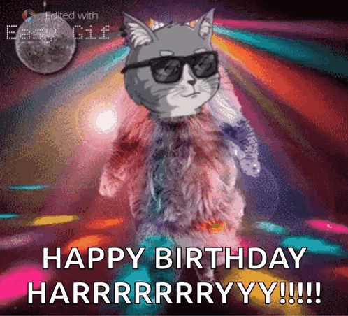 A Cat Wearing Sunglasses And A Fur Coat Is Dancing On A Dance Floor . GIF