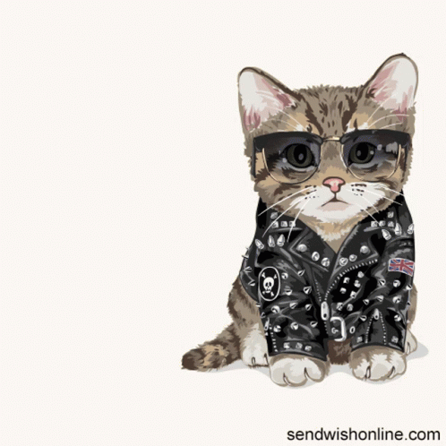 a cat wearing sunglasses and a leather jacket with the words " leave me alone " below it