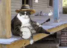 Cat With Sunglasses And Straw Hat Playing Banjo GIF
